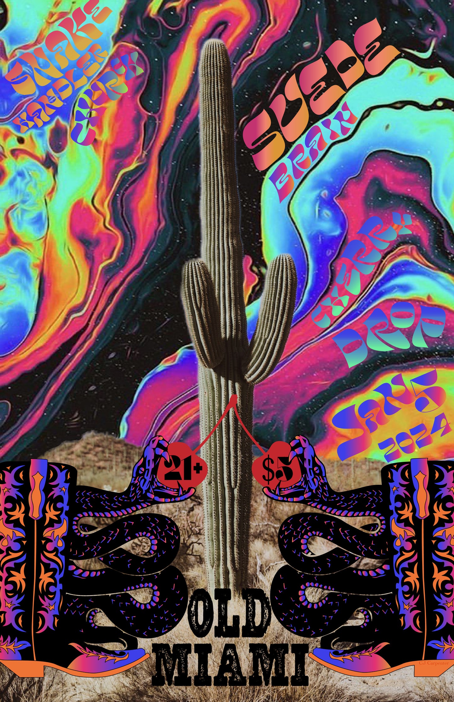 Psychedelic Cactus Snake Poster